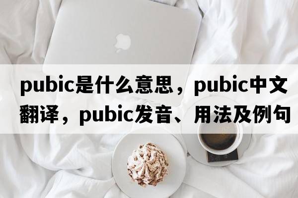 pubic是什么意思，pubic中文翻譯，pubic發(fā)音、用法及例句