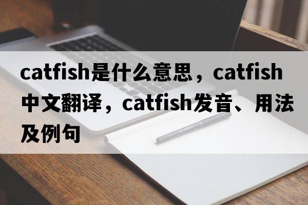 catfish是什么意思，catfish中文翻譯，catfish發(fā)音、用法及例句