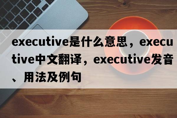 executive是什么意思，executive中文翻譯，executive發(fā)音、用法及例句