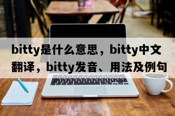 bitty是什么意思，bitty中文翻譯，bitty發(fā)音、用法及例句