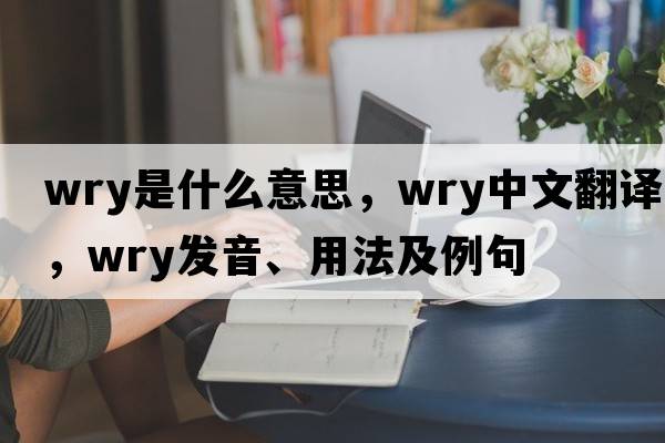 wry是什么意思，wry中文翻譯，wry發(fā)音、用法及例句