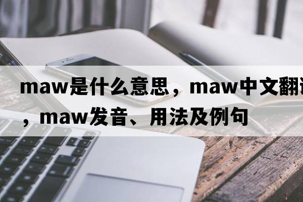 maw是什么意思，maw中文翻譯，maw發(fā)音、用法及例句