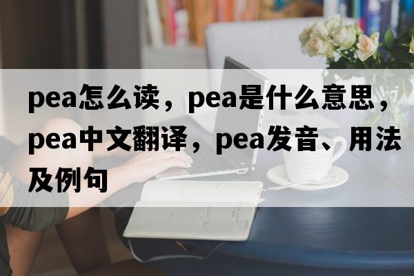 pea怎么讀，pea是什么意思，pea中文翻譯，pea發(fā)音、用法及例句