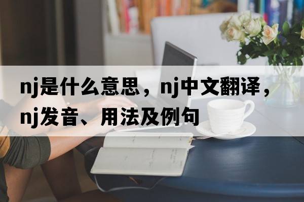 nj是什么意思，nj中文翻譯，nj發(fā)音、用法及例句