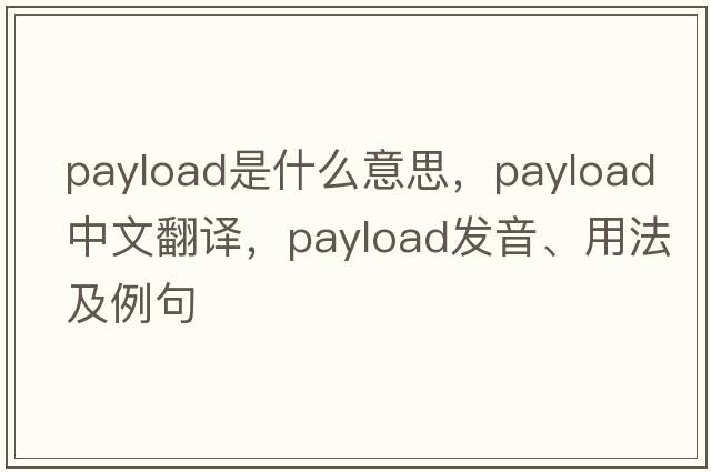 payload是什么意思，payload中文翻譯，payload發(fā)音、用法及例句