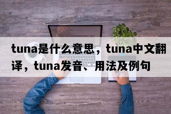 tuna是什么意思，tuna中文翻譯，tuna發(fā)音、用法及例句