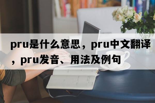 Pru是什么意思，Pru中文翻譯，Pru發(fā)音、用法及例句