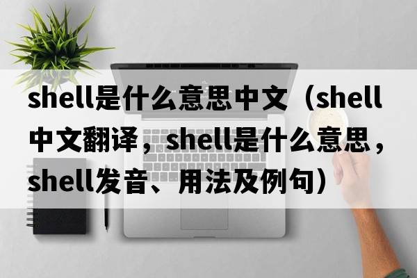 shell是什么意思中文（shell中文翻譯，shell是什么意思，shell發(fā)音、用法及例句）