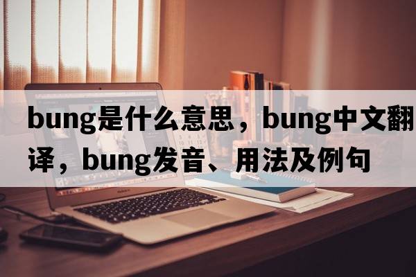 bung是什么意思，bung中文翻譯，bung發(fā)音、用法及例句