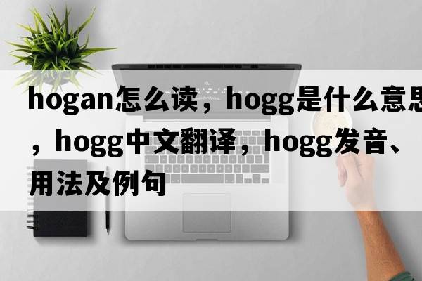 hogan怎么讀，Hogg是什么意思，Hogg中文翻譯，Hogg發(fā)音、用法及例句
