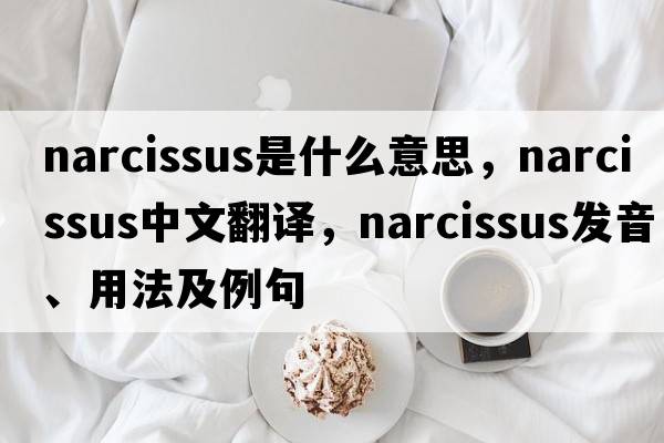 narcissus是什么意思，narcissus中文翻譯，narcissus發(fā)音、用法及例句
