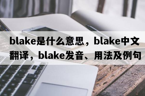 blake是什么意思，blake中文翻譯，blake發(fā)音、用法及例句