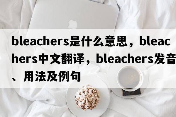 bleachers是什么意思，bleachers中文翻譯，bleachers發(fā)音、用法及例句