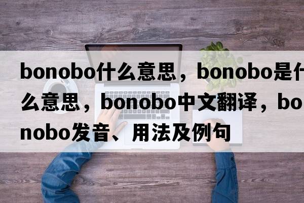 bonobo什么意思，bonobo是什么意思，bonobo中文翻譯，bonobo發(fā)音、用法及例句