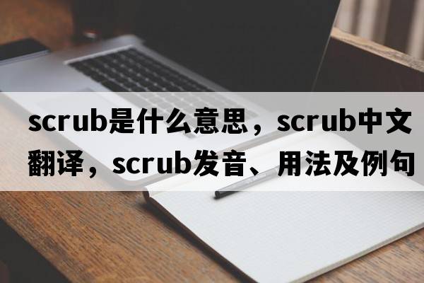 scrub是什么意思，scrub中文翻譯，scrub發(fā)音、用法及例句
