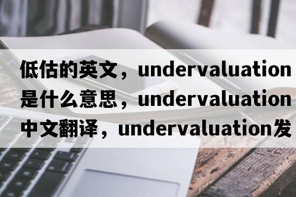 低估的英文，undervaluation是什么意思，undervaluation中文翻譯，undervaluation發(fā)音、用法及例句