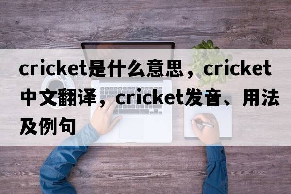 cricket是什么意思，cricket中文翻譯，cricket發(fā)音、用法及例句