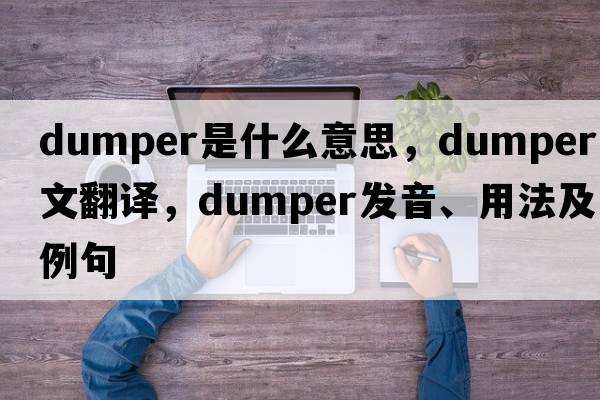 dumper是什么意思，dumper中文翻譯，dumper發(fā)音、用法及例句
