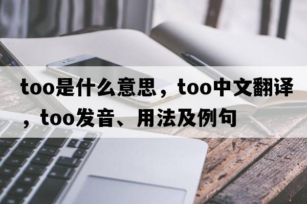too是什么意思，too中文翻譯，too發(fā)音、用法及例句