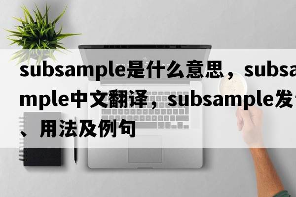 subsample是什么意思，subsample中文翻譯，subsample發(fā)音、用法及例句