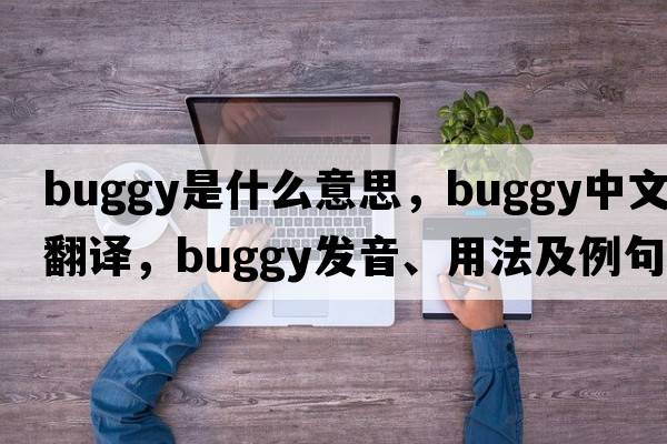 buggy是什么意思，buggy中文翻譯，buggy發(fā)音、用法及例句