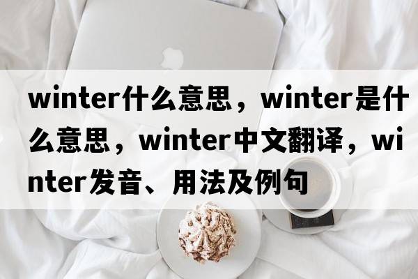 winter什么意思，winter是什么意思，winter中文翻譯，winter發(fā)音、用法及例句