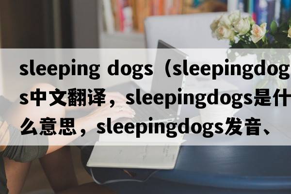 sleeping dogs（sleepingdogs中文翻譯，sleepingdogs是什么意思，sleepingdogs發(fā)音、用法及例句）