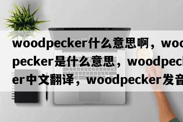 woodpecker什么意思啊，woodpecker是什么意思，woodpecker中文翻譯，woodpecker發(fā)音、用法及例句