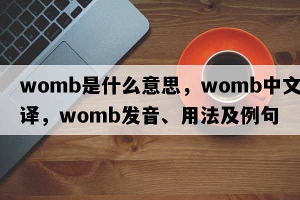 womb是什么意思，womb中文翻譯，womb發(fā)音、用法及例句