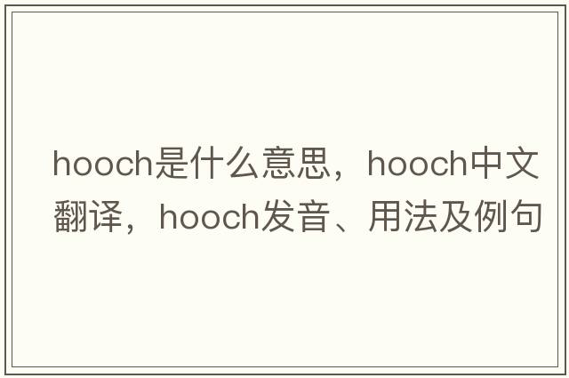 hooch是什么意思，hooch中文翻譯，hooch發(fā)音、用法及例句