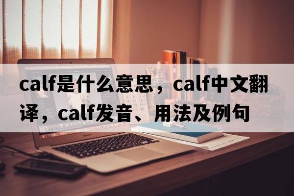 calf是什么意思，calf中文翻譯，calf發(fā)音、用法及例句