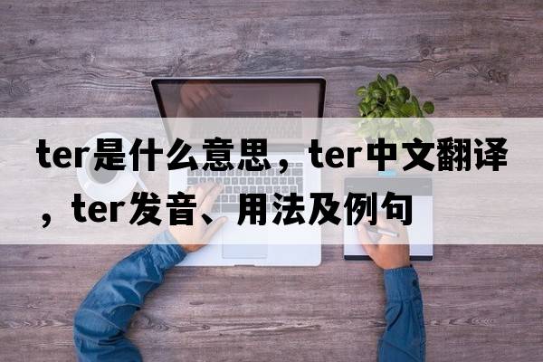 ter是什么意思，ter中文翻譯，ter發(fā)音、用法及例句