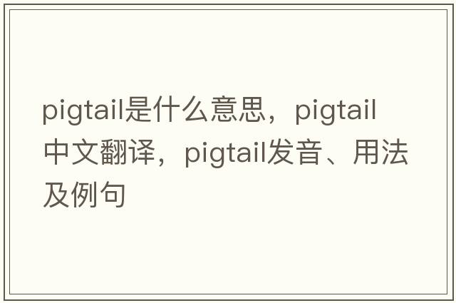 pigtail是什么意思，pigtail中文翻譯，pigtail發(fā)音、用法及例句