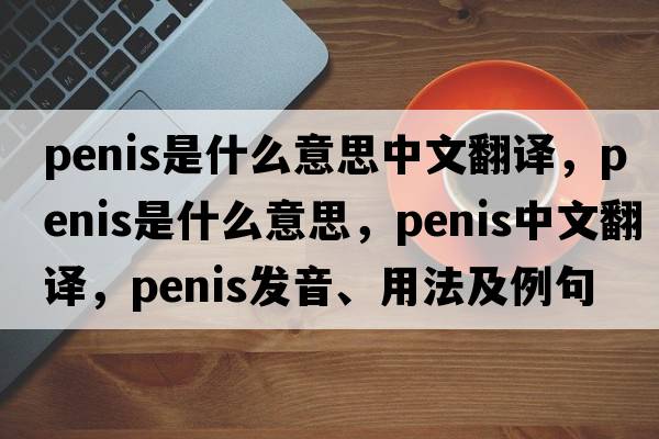 penis是什么意思中文翻譯，penis是什么意思，penis中文翻譯，penis發(fā)音、用法及例句