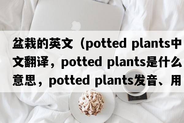 盆栽的英文（potted plants中文翻譯，potted plants是什么意思，potted plants發(fā)音、用法及例句）