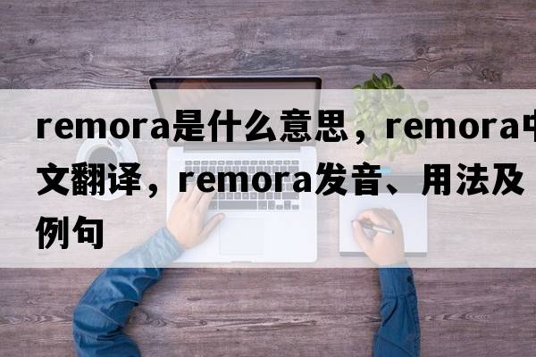 remora是什么意思，remora中文翻譯，remora發(fā)音、用法及例句