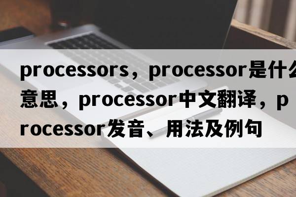 processors，processor是什么意思，processor中文翻譯，processor發(fā)音、用法及例句