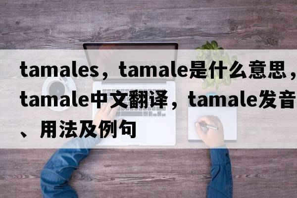 tamales，tamale是什么意思，tamale中文翻譯，tamale發(fā)音、用法及例句