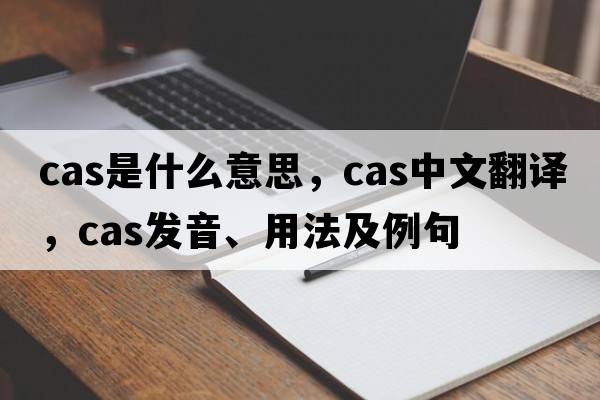 cas是什么意思，cas中文翻譯，cas發(fā)音、用法及例句