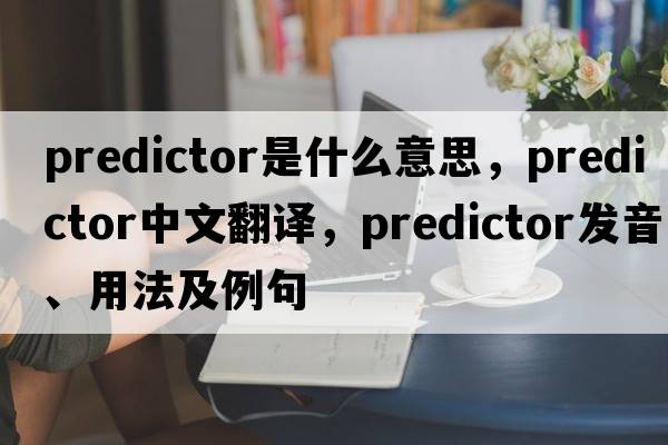 predictor是什么意思，predictor中文翻譯，predictor發(fā)音、用法及例句