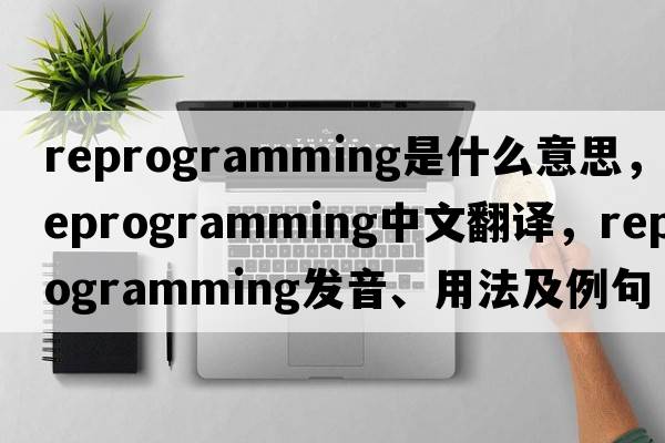 reprogramming是什么意思，reprogramming中文翻譯，reprogramming發(fā)音、用法及例句