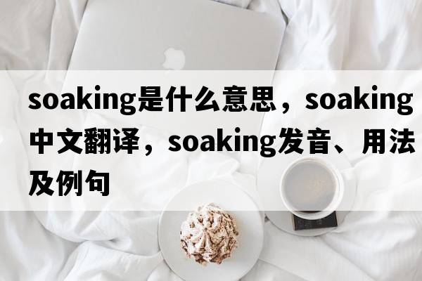 soaking是什么意思，soaking中文翻譯，soaking發(fā)音、用法及例句