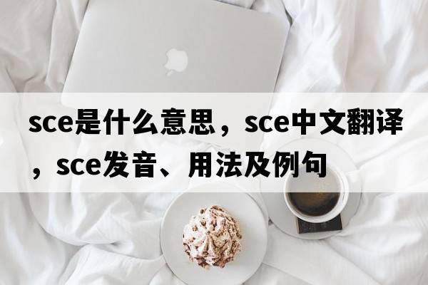 sce是什么意思，sce中文翻譯，sce發(fā)音、用法及例句