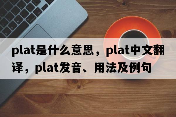 plat是什么意思，plat中文翻譯，plat發(fā)音、用法及例句