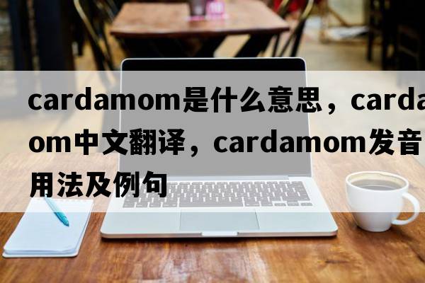 cardamom是什么意思，cardamom中文翻譯，cardamom發(fā)音、用法及例句
