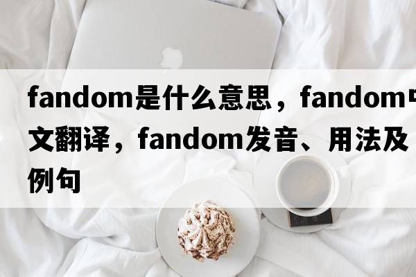 fandom是什么意思，fandom中文翻譯，fandom發(fā)音、用法及例句