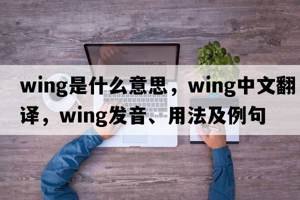 wing是什么意思，wing中文翻譯，wing發(fā)音、用法及例句