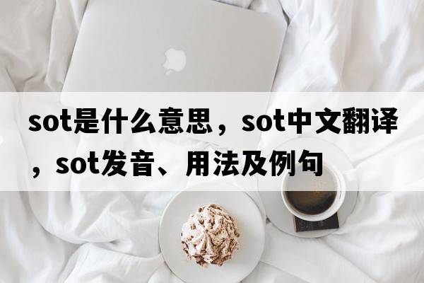 sot是什么意思，sot中文翻譯，sot發(fā)音、用法及例句