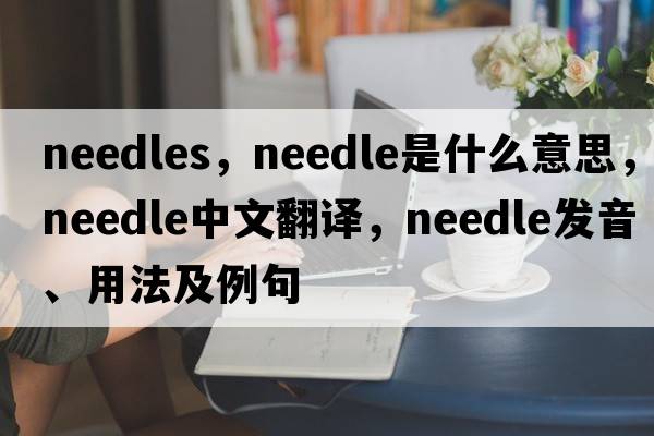 needles，needle是什么意思，needle中文翻譯，needle發(fā)音、用法及例句