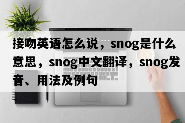 接吻英語(yǔ)怎么說(shuō)，snog是什么意思，snog中文翻譯，snog發(fā)音、用法及例句